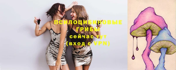 спайс Баксан
