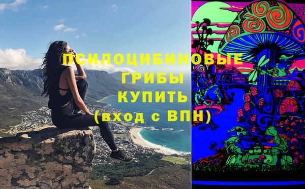 спайс Баксан