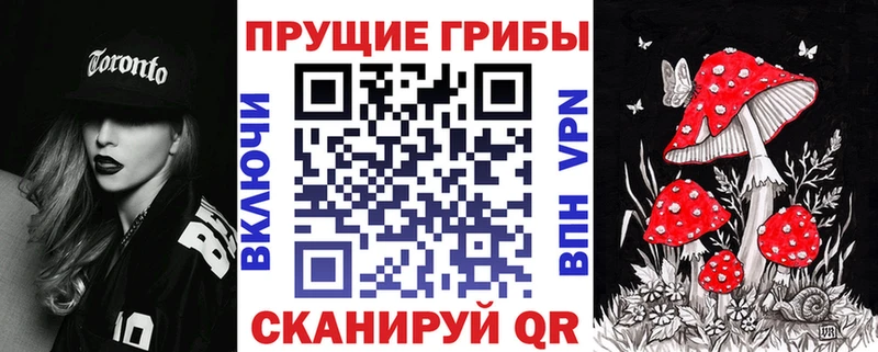 Купить закладки  Горно-Алтайск  Галлюциногенные грибы мухоморы 